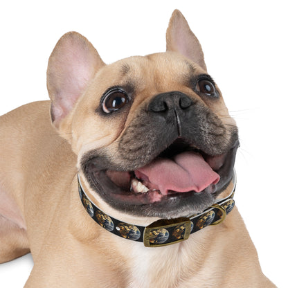 Dog Collar - Promoting Eco-Consciousness and Style - B&N: Human Eco-Solutions